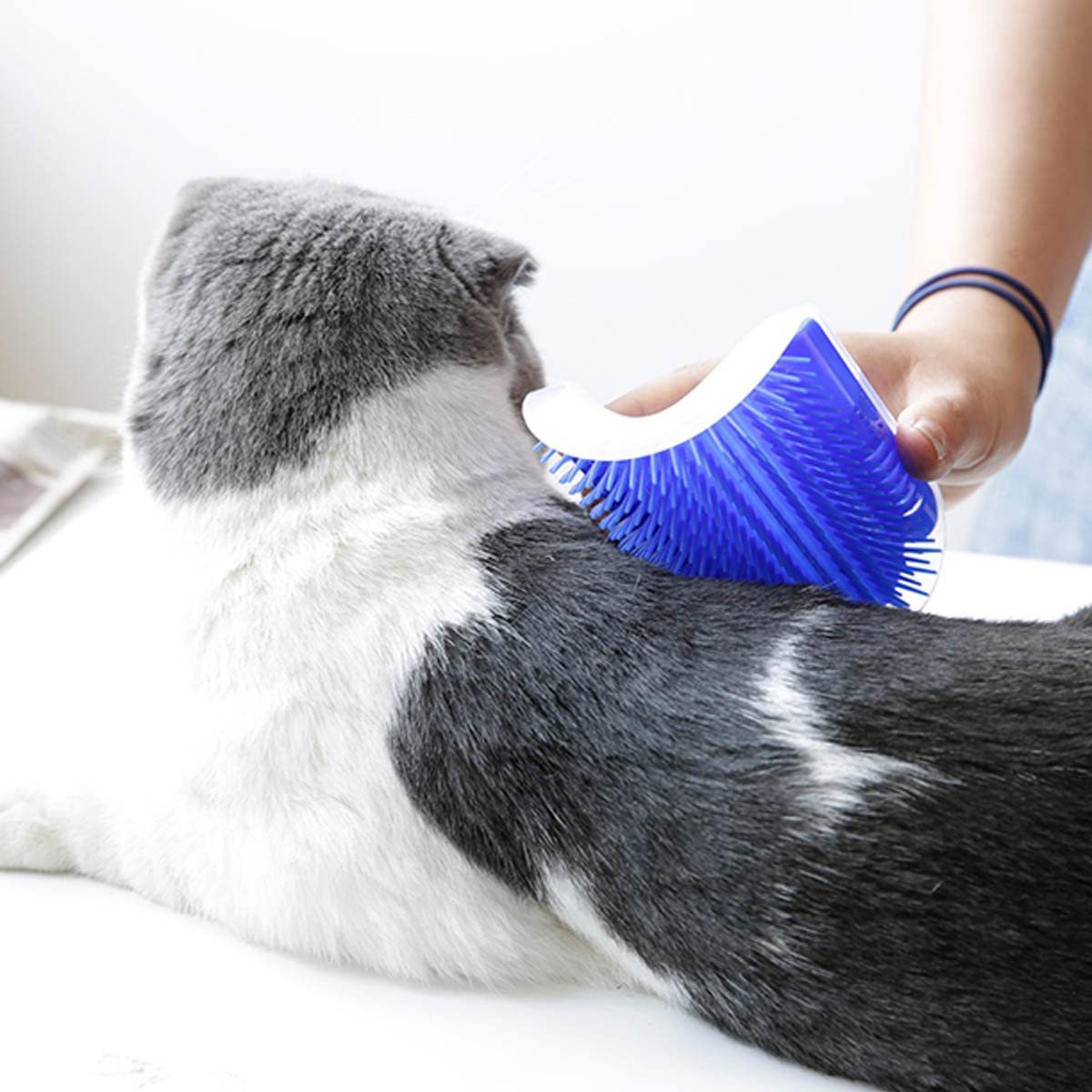 Cat Self Groomer Arch Self Cleaning Slicker Brush Upgraded Cat Brushes Wall Corner For Shedding Grooming, Softer Massager Comb Interactive Toy For Short Long Haired Dog Kitten Puppy - Image 5
